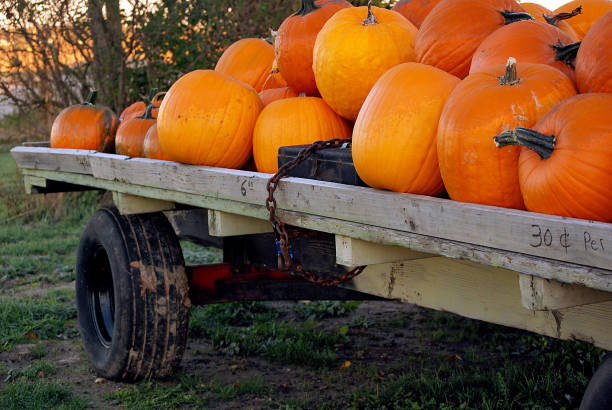istock autumn pumpkin on wooden wagon 689523606