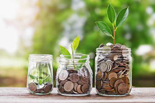 Monedas en tarro de cristal con naturaleza verde luz del sol y el concepto financiero de inversión de crecimiento de la planta photo