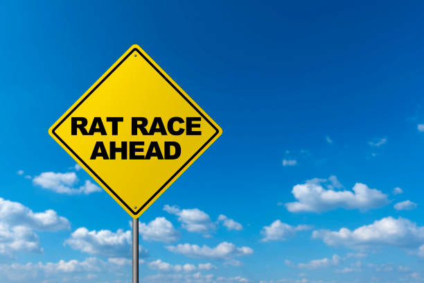 istock Rat Race Ahead - Road Warning Sign 689530762