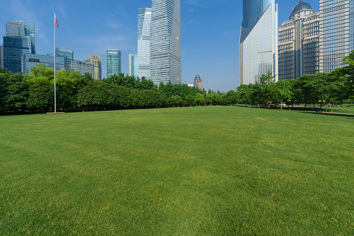 Shanghai pudong lujiazui financial district,China - East Asia,Grass Area.