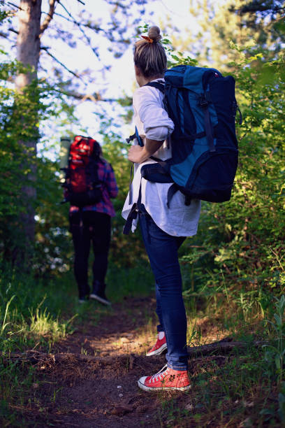 istock Two girls in the forest 689535394