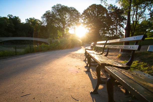 Walkway and park bench next to Bow bridge at Central Park with sunrise