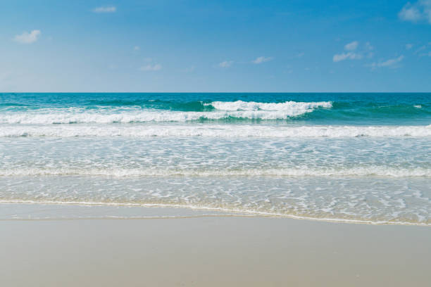 istock Tropical beach with clear water and blue sky 689541878