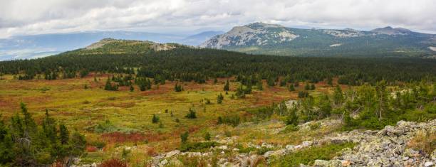 istock Panoramic view of the mountains and cliffs, South Ural. Summer in the mountains. 689544704