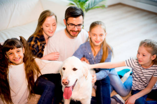 istock Family playing with a dog 689554296