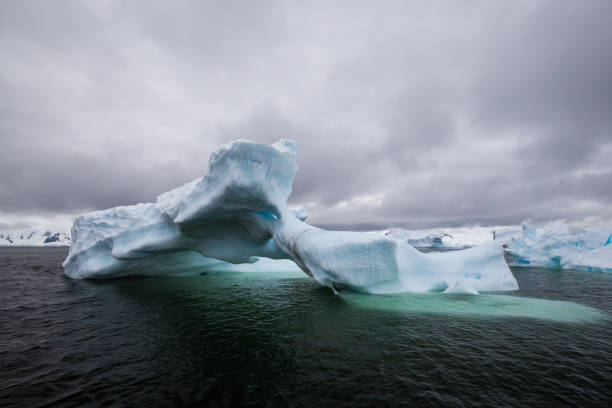 flotadores de berg de hielo color azul hermoso fuera de la isla de la costa de la empresa de la antártida en un día nublado - extreme terrain eroded snow landscape fotografías e imágenes de stock