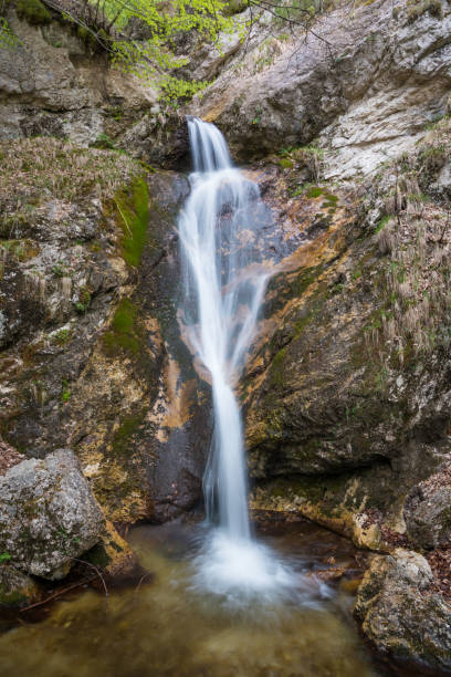 istock National Park of Abruzzo (Italy) 689572308