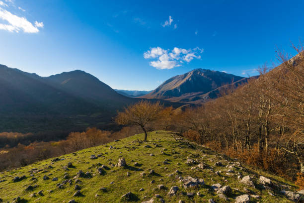 istock National Park of Abruzzo (Italy) 689575318