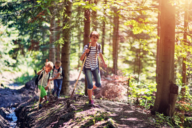 istock Kids hiking in a sunny forest 689582220