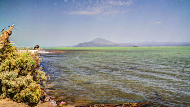Salt Lake Afrera aka Lake Afdera or Giulietti or Egogi , Danakil Afar, Ethiopia Salt Lake Afrera aka Lake Afdera or Giulietti or Egogi at Danakil Afar, Ethiopia dallol ethiopia stock pictures, royalty-free photos & images