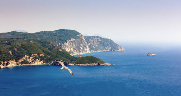 istock Corfu (Kerkyra) Island, Greece. Seagul and rocky cape. 689589540