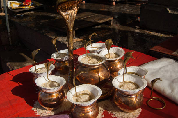 istock Snake, Rice, Kumbh for worship 689589684