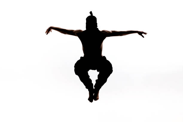 Male ninja silhouette on white background Male ninja silhouette on the white background shinobazu pond stock pictures, royalty-free photos & images