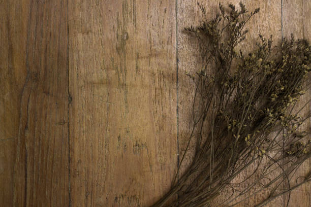 istock Dry flower on old desk 689599054