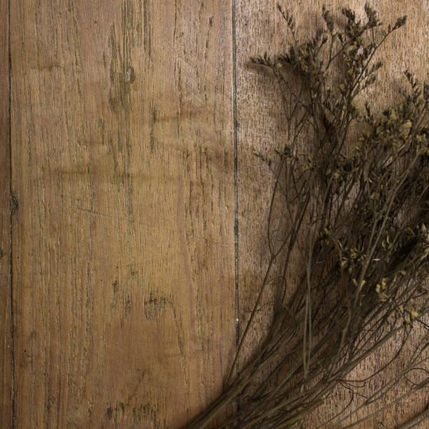 istock Dry flower on old desk 689608750