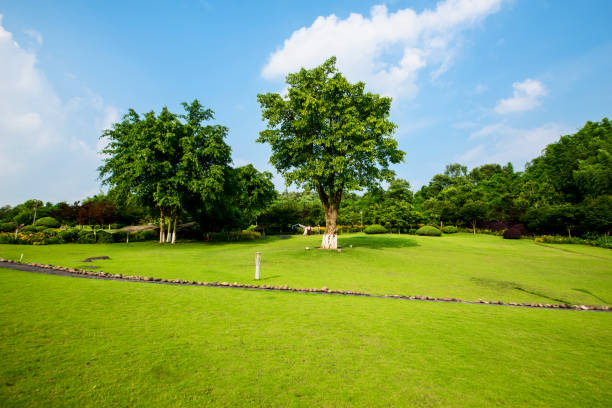 istock Grassland landscape and greening environment park background 689609270