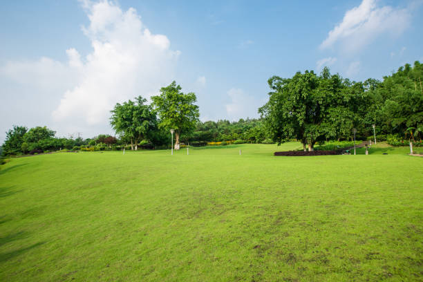 istock Grassland landscape and greening environment park background 689609580