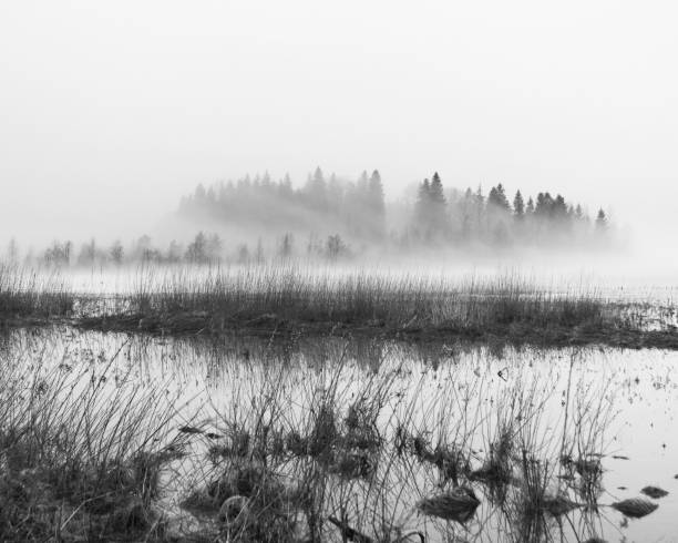 istock Mist over a frozen lake 689619012