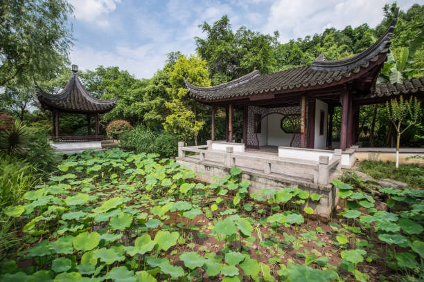 Chinese garden n Zurich Chinese garden n Zurich shaolin monastery stock pictures, royalty-free photos & images