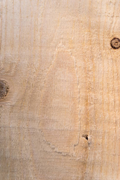 istock Texture of wood background closeup 689626706