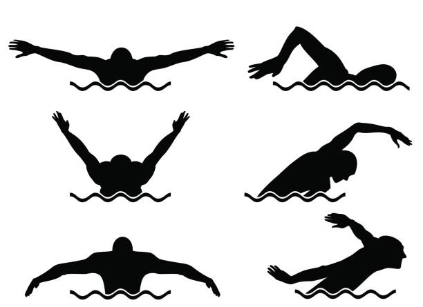 ilustrações de stock, clip art, desenhos animados e ícones de six swimmers set - silhouette swimming action adult