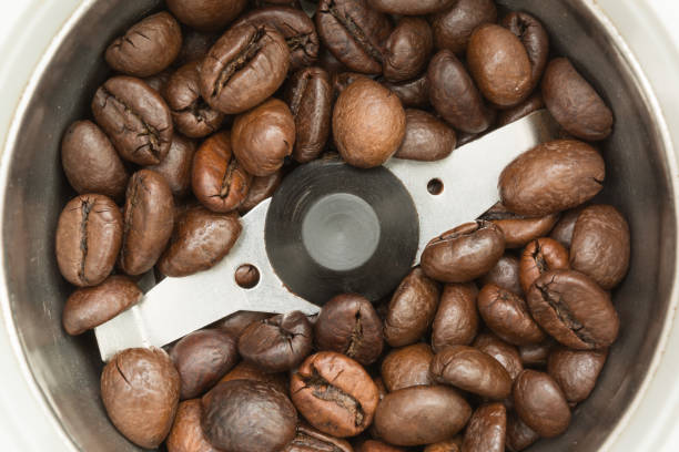 istock Fried dark coffee beans in an automatic coffee grinder, close-up food background 689630586