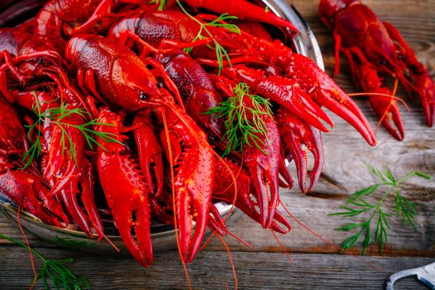 Boiled crayfish with dill Boiled crayfish with dill  on wooden background lobster seafood photos stock pictures, royalty-free photos & images