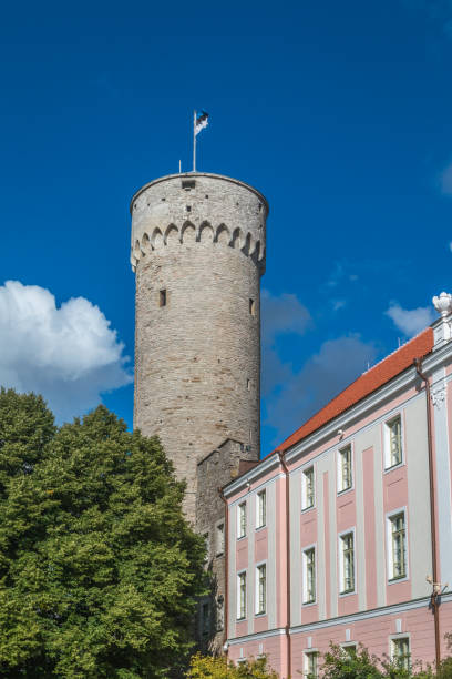 istock Pikk Hermann Tower in Tallinn Estonia 689647338