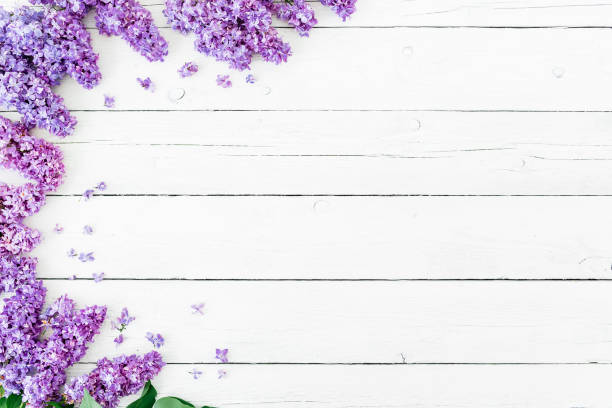 istock Floral pattern of lilac branches and petals on rustic background. Flat lay, top view. Flower pattern 689654676