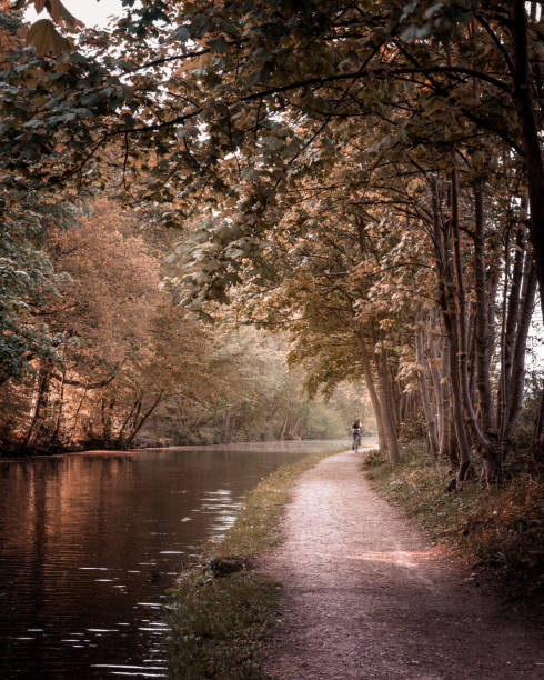 Sun falling through woodland either side of the canal
