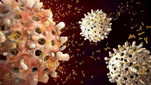 istock 3d illustration of leukocyte seclude antibodies 689663726