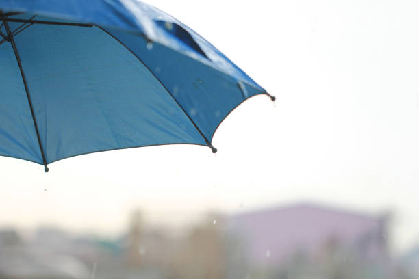 Umbrella in the rain