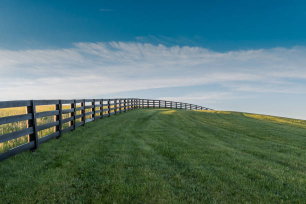 istock Black Fence Leads Over Grassy Hill 689666234