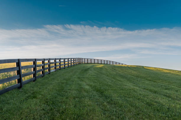 Black Fence Leads Over Grassy Hill Black Fence Leads Over Grassy Hill in Summer foothills parkway photos stock pictures, royalty-free photos & images