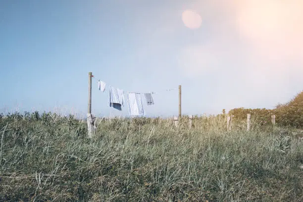 blue and white towels on colthesline in the midst of green bushes under clear blue sky