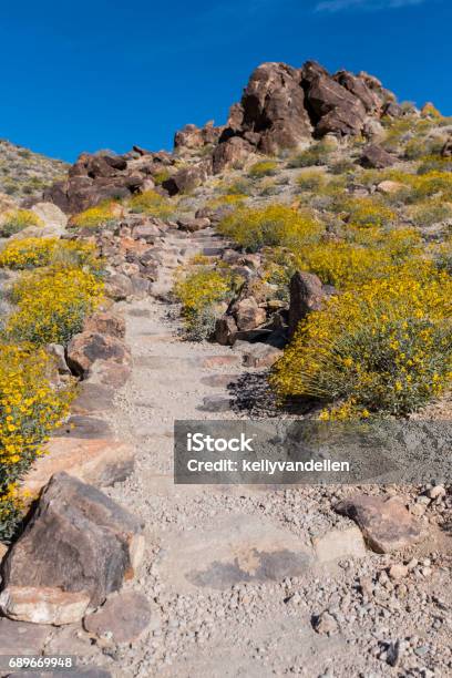 Dirt Trail Climbs Up Stairs In Desert Stock Photo - Download Image Now - Hiking, Adventure, Blue