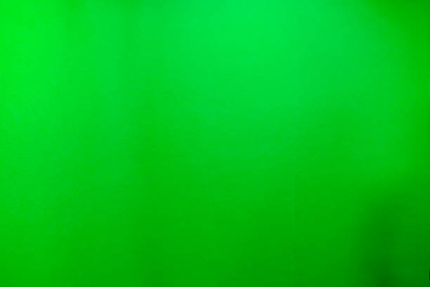 istock Beautiful green background and texture paper 689681496