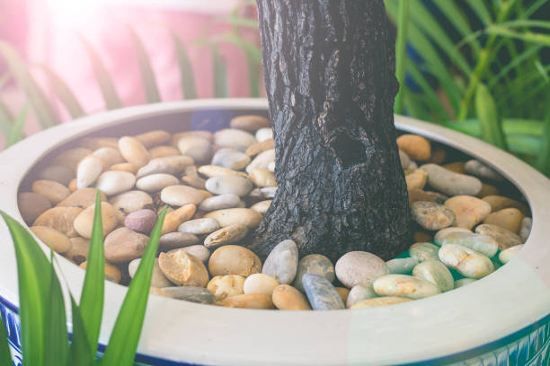 istock The trunk of the flower and the tree. 689681508