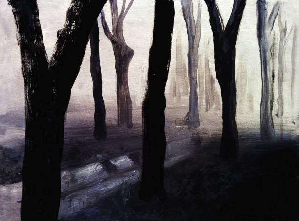 mgła w lesie, ilustracja do rysowania ręcznego - forest transylvania rain fog stock illustrations