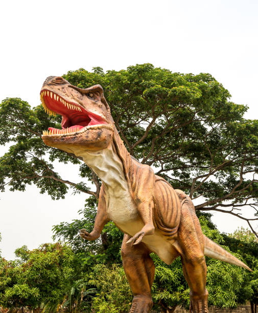 istock Dinosaur tyrannosaurus and monster model 689705814