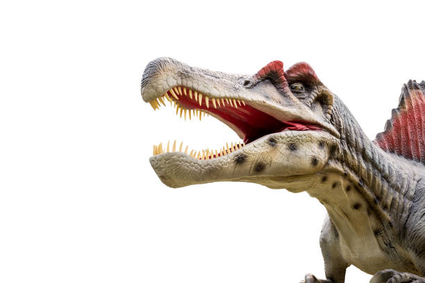 istock Dinosaur spinosaurus and monster model 689709274