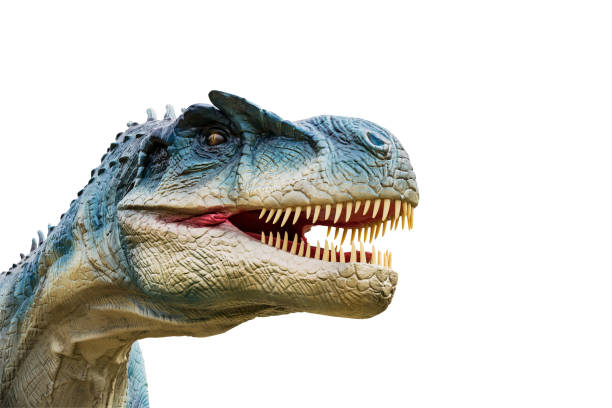 istock Dinosaur allosaurus and monster model 689709324