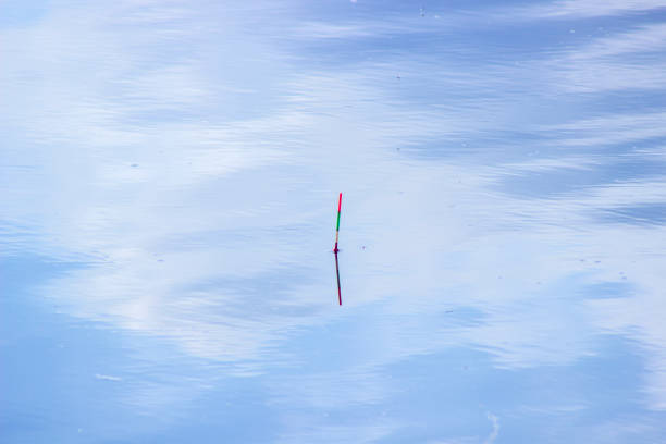 Fishing Bobber Under the Tug of a Fish During Morning Light.