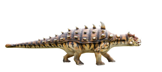 istock Dinosaur ankylosaurus and monster model 689709910