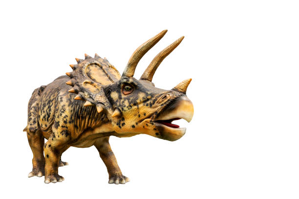 istock Dinosaur triceratops and monster model 689710222