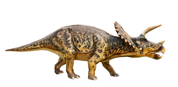 istock Dinosaur triceratops and monster model 689712654