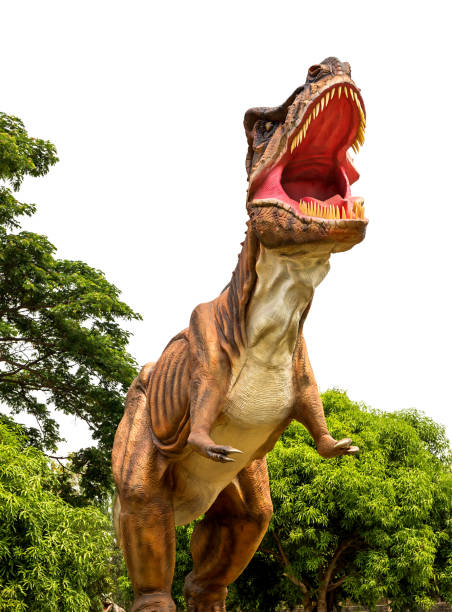 istock Dinosaur tyrannosaurus and monster model 689712814