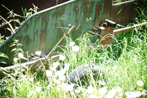 istock Rusted agricultural equipment 689712944