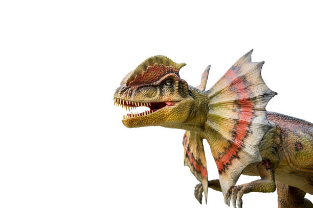 istock Dinosaur dilophosaurus and monster model 689713004