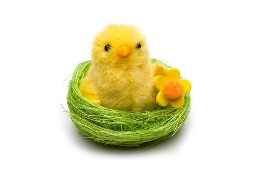 Easter chick in the nest isolated on white
